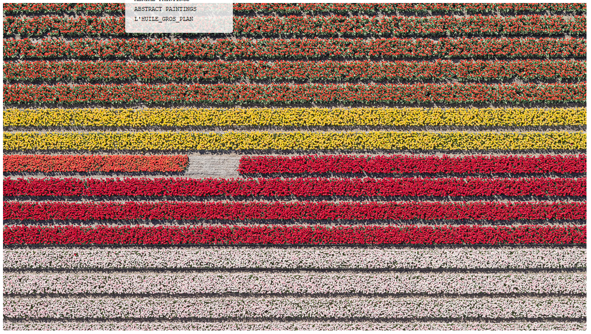 Bernhard Lang | Tulip Fields 023