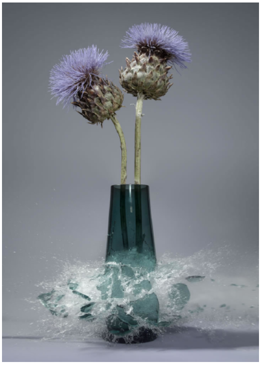 Martin Klimas | Cynara