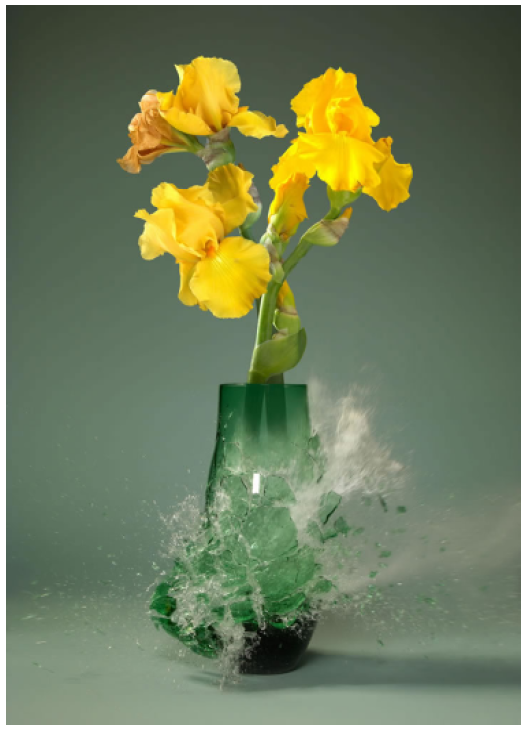Martin Klimas | Iris IV