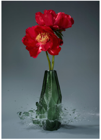Martin Klimas | Paeonia X
