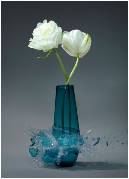 Martin Klimas | Tulipa X