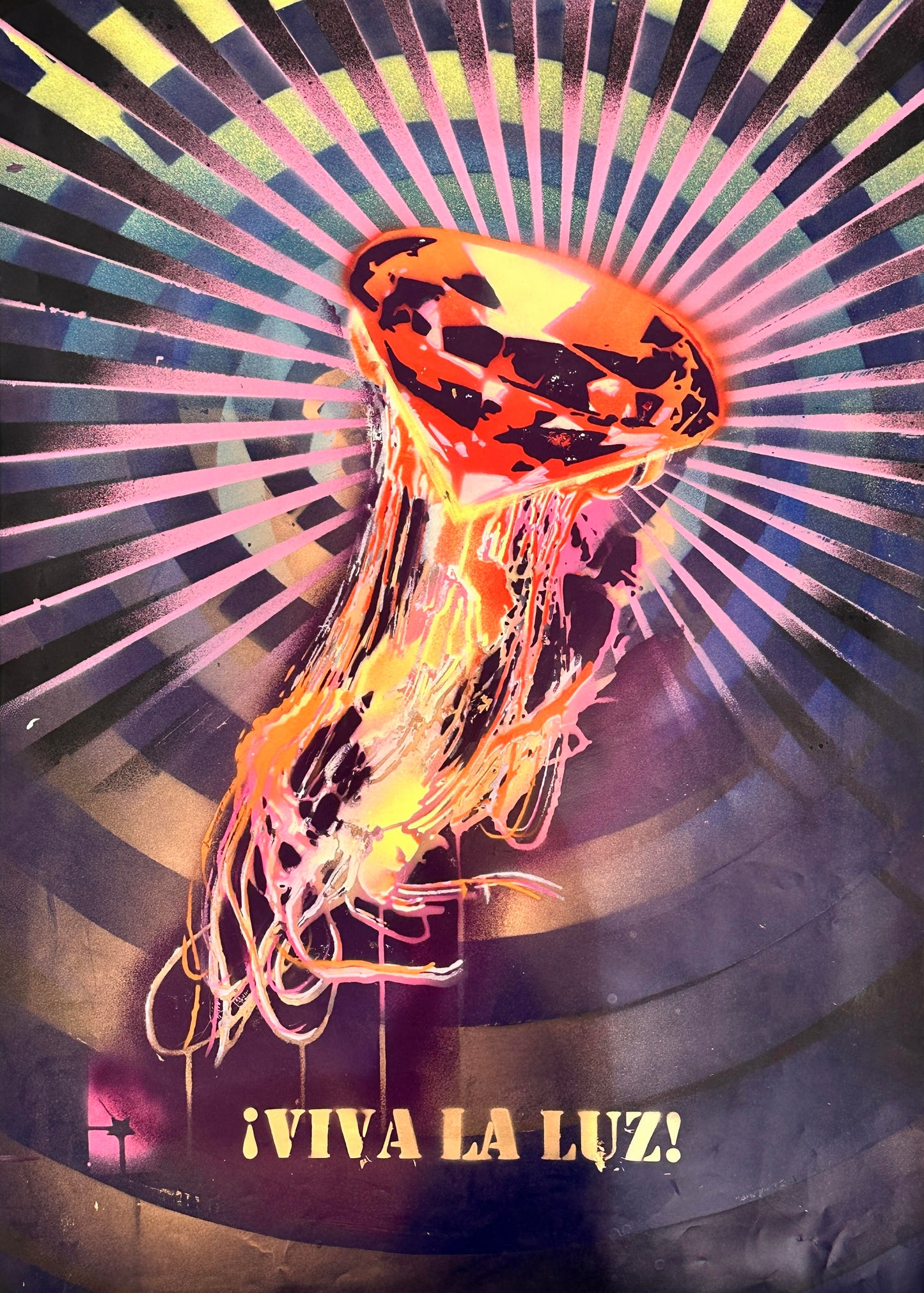 ¡Viva la luz! | Robert Ritter