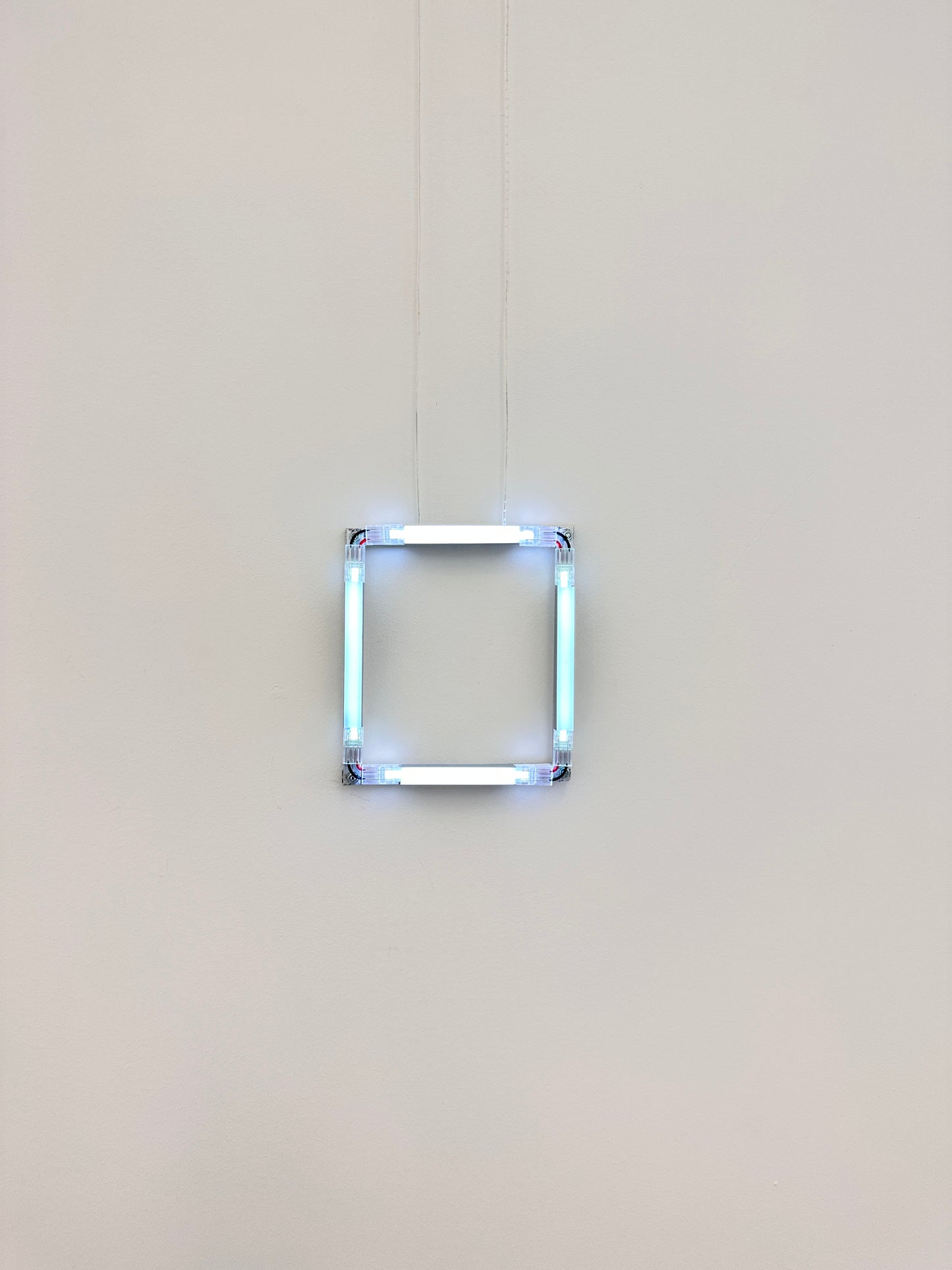 Constantia 2024 Artefact #12 | Peter Vink