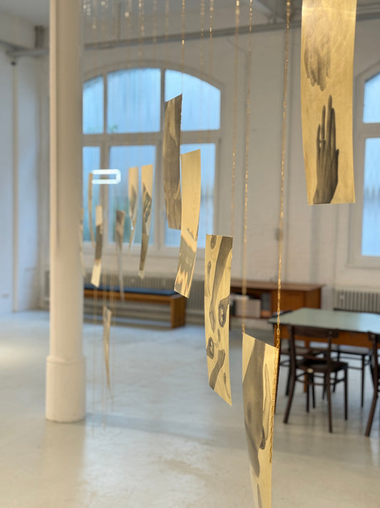 assumed prognosticators | Lena Grewenig