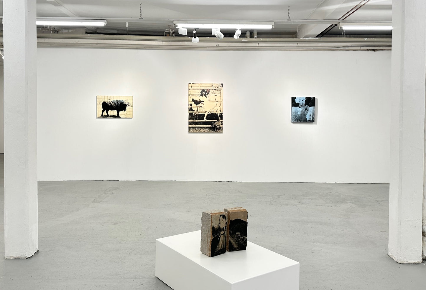 Female Perspectives Gruppenausstellung bei Galerie Lachenmann Art Frankfurt 3