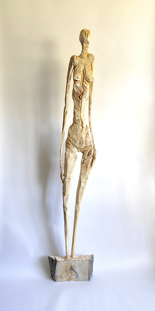 Constantia 2024 Artefact #14 | Peter Vink 