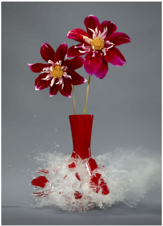 Martin Klimas | Dahlia Hybride