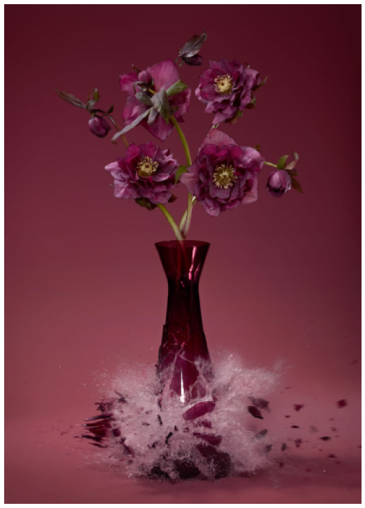 Martin Klimas | Helleborus IV
