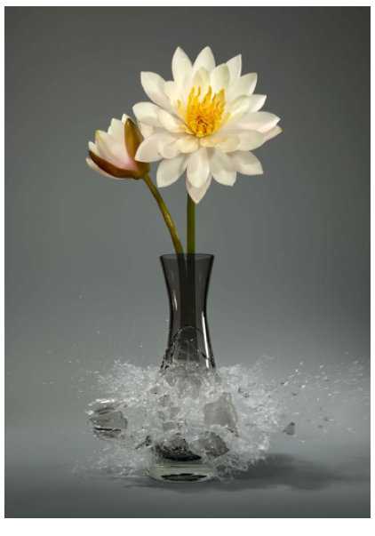 Martin Klimas | Nymphaea Alba VII