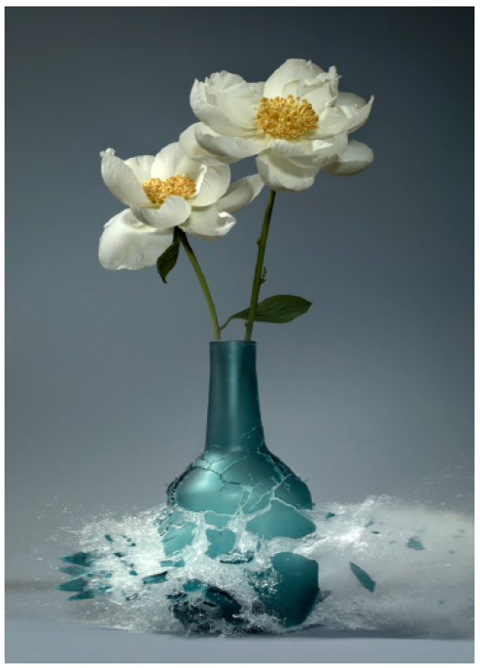Martin Klimas | Paeonia II