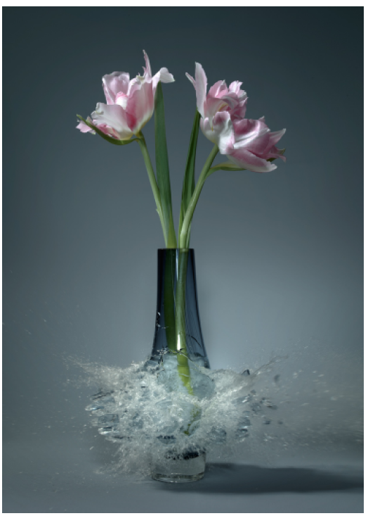 Martin Klimas | Tulipa V