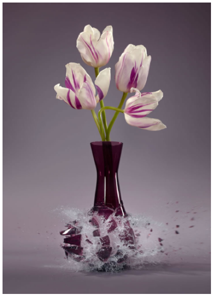 Martin Klimas | Tulipa XI