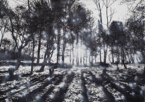 Jan Davidoff, Spurwald, 2020, Mischtechnik auf Leinwand, 140 x 200 cm, Wald, Bäume, Lichter