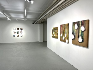 Stefanie Scheurell & Robert Ritter: Installation View ›INKARNAT‹ at Lachenmann Art Gallery Frankfurt, 3