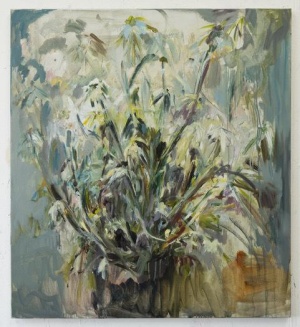Franziska Klotz, Edelweiss, 2017, Öl auf Leinwand, 110x100 cm