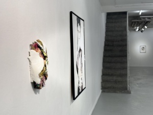 Stefanie Scheurell & Robert Ritter: Installation View ›INKARNAT‹ at Lachenmann Art Gallery Frankfurt, 2