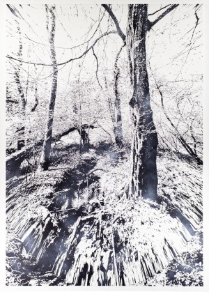 Einbaum, 2015, 200x140cm, Mischtechnik auf LW